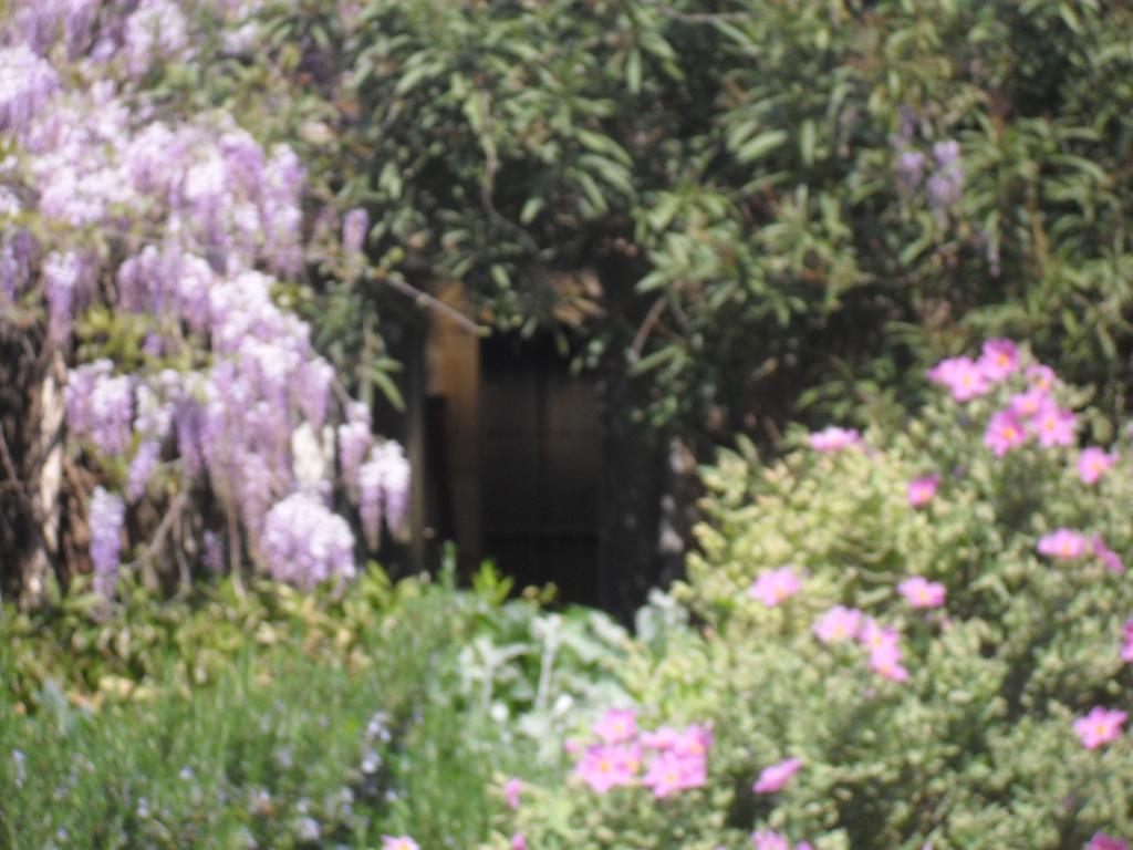 La Rose Bed and Breakfast Saint-Gervasy Εξωτερικό φωτογραφία