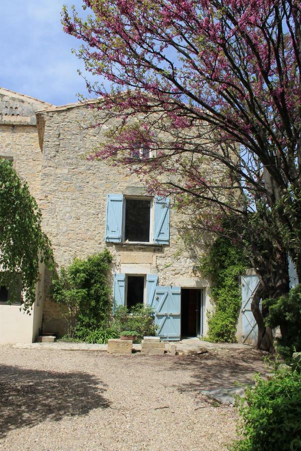 La Rose Bed and Breakfast Saint-Gervasy Εξωτερικό φωτογραφία