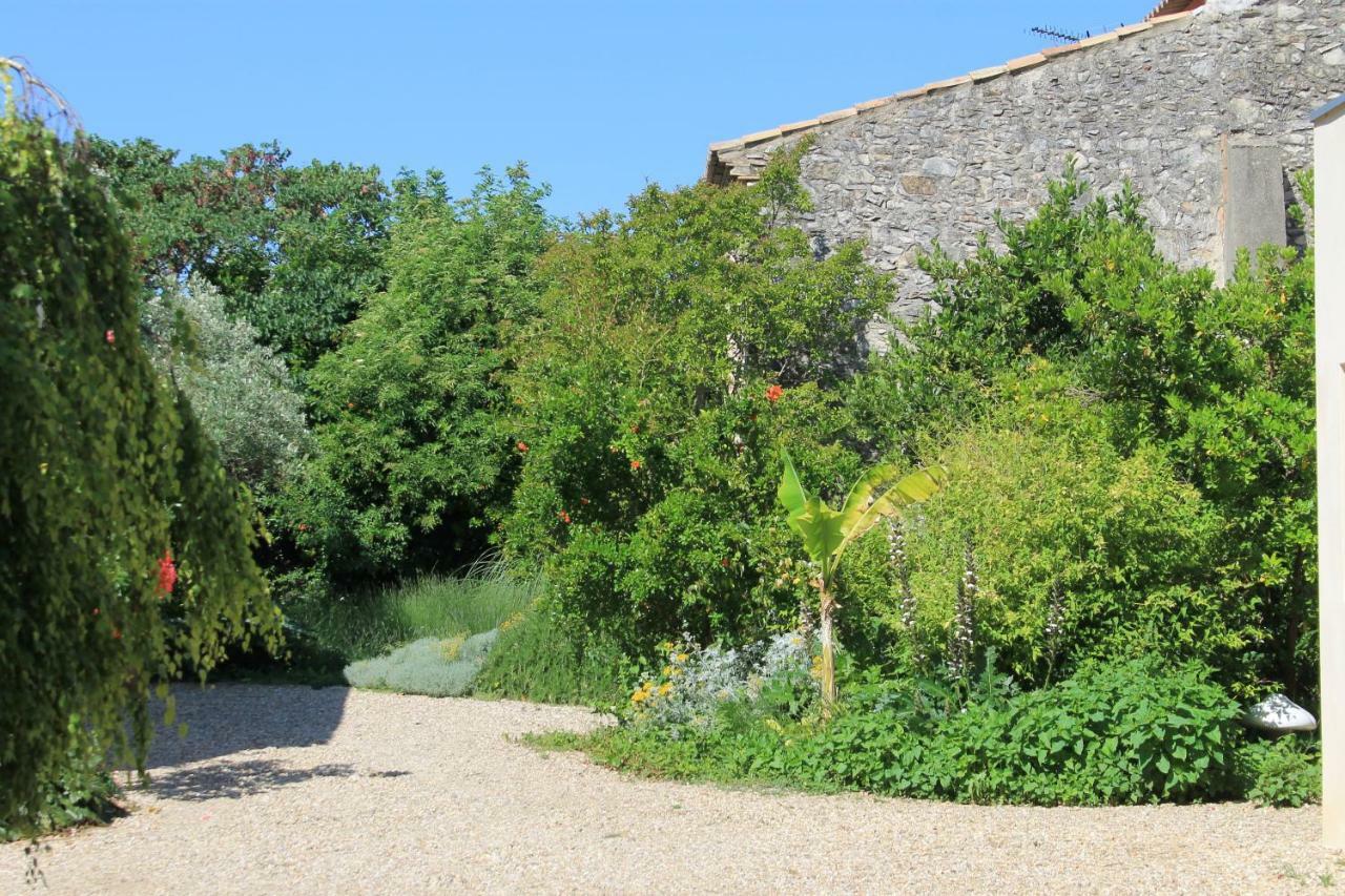 La Rose Bed and Breakfast Saint-Gervasy Εξωτερικό φωτογραφία